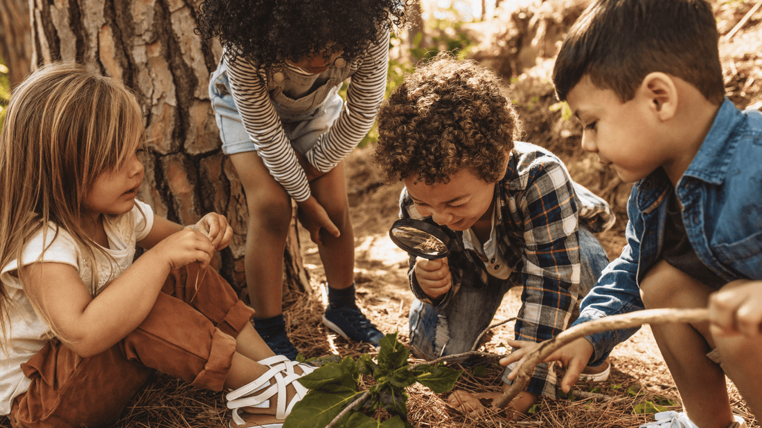 How Outdoor STEM Activities Enhance Emotional Resilience in Early Learners