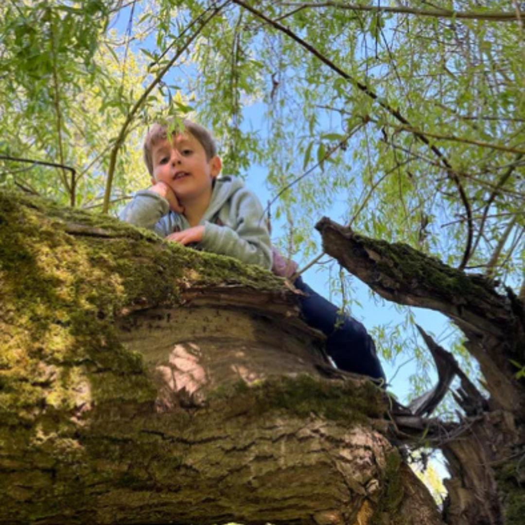 2026 July Classes - Trout Lake